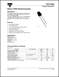 TEFT4300 Datasheet
