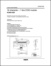 RCM2122R Datasheet