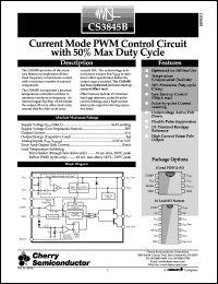 CS3845BGD14 Datasheet