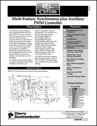 CS5106LSW24 Datasheet
