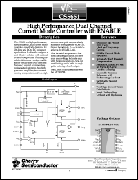 CS5651GDWR16 Datasheet