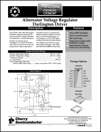 CS387H Datasheet