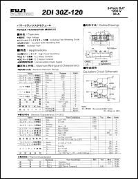 2DI30Z-100 Datasheet