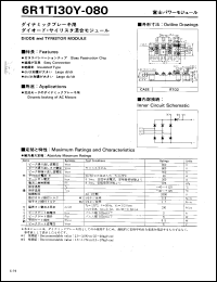 6R1TI30Y-080 Datasheet