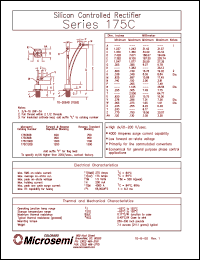 175C100B Datasheet