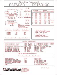 FST60100 Datasheet