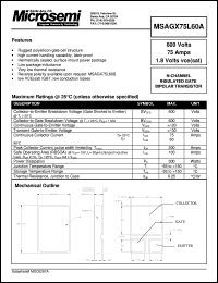 MSAGX75F60A Datasheet