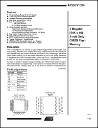 AT29LV1024-20TI Datasheet