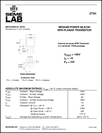 ZT91 Datasheet