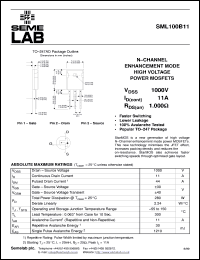 SML100J19F Datasheet