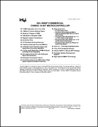 SB83L196NP Datasheet