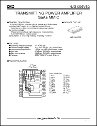 NJG1309VB2 Datasheet