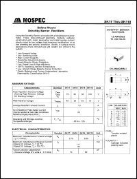 SK18 Datasheet
