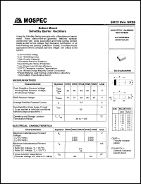 SR22 Datasheet