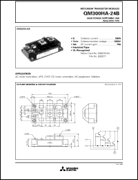 QM300HC-M Datasheet