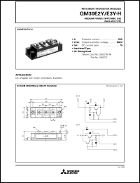 QM30E2Y-2H Datasheet
