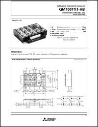 QM100TX1-H Datasheet