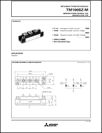 TM100SZ-M Datasheet