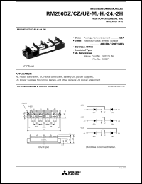 RM250DZ-24 Datasheet