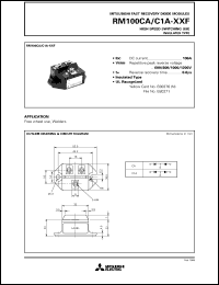 RM100C1A-XXF Datasheet