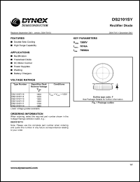 DS2101SY13 Datasheet