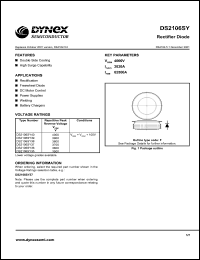 DS2106SY36 Datasheet