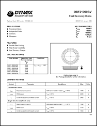 DSF21060SV58 Datasheet