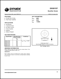 DS501ST04 Datasheet