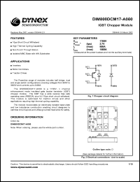 DIM800DCM17-A000 Datasheet