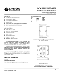 DFM1200NXM33-A000 Datasheet