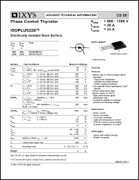 CS29 Datasheet