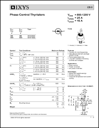 CS8-08IO2 Datasheet