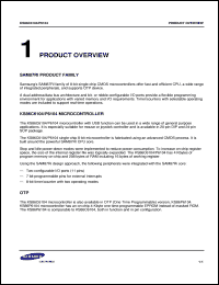 KS22069BN Datasheet
