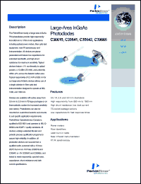 C30619E-DTC Datasheet