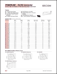 RP10-123.3SE Datasheet