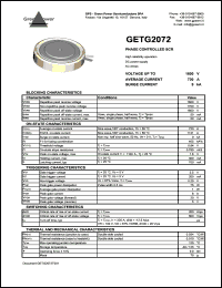 GETG2043 Datasheet