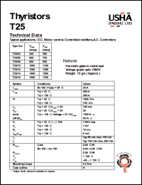 T250/16 Datasheet