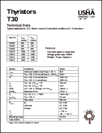 T30/08 Datasheet