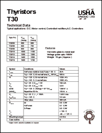 T300/08 Datasheet