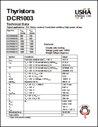DCR1003/14 Datasheet
