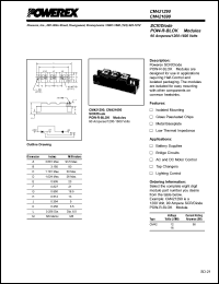 CM4208A2 Datasheet