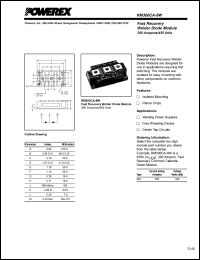 RM300CA-9W Datasheet