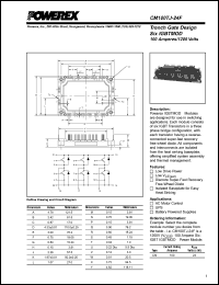 CM100TJ-24F Datasheet