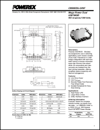 CM900DU-24NF Datasheet