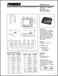 PM100CVA120 Datasheet