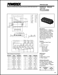PM15CSJ060 Datasheet