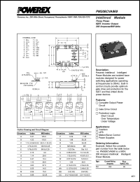 PM300CVA060 Datasheet