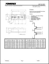 QIC0610001 Datasheet