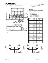 QIC1208001 Datasheet