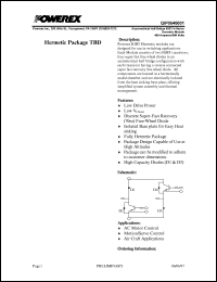 QIP0640001 Datasheet